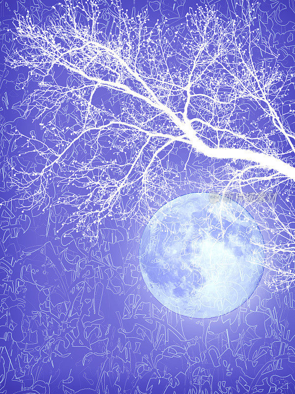 Fantasy Blue Moon和Tree Silhouette